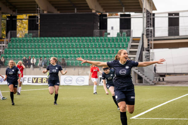 对形式主义 对形式主义